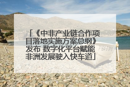 《中非产业链合作项目落地实施方案总纲》发布 数字化平台赋能非洲发展驶入快车道