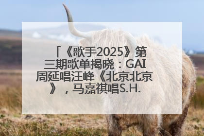 《歌手2025》第三期歌单揭晓：GAI周延唱汪峰《北京北京》，马嘉祺唱S.H.E《你曾是少年》