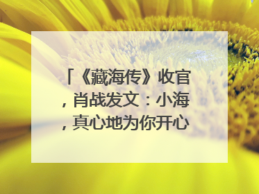 《藏海传》收官，肖战发文：小海，真心地为你开心！你看，有这么多人懂你！