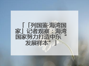 「列国鉴·海湾国家」记者观察：海湾国家努力打造中东“发展样本”