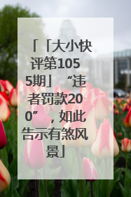 「大小快评第1055期」“违者罚款200”，如此告示有煞风景
