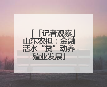 「记者观察」山东农担：金融活水“贷”动养殖业发展