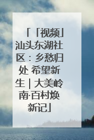 「视频」汕头东湖社区：乡愁归处 希望新生｜大美岭南·百村焕新记