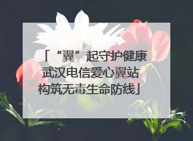 “翼”起守护健康 武汉电信爱心翼站构筑无毒生命防线