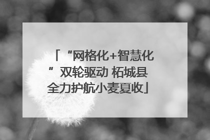 “网格化+智慧化”双轮驱动 柘城县全力护航小麦夏收