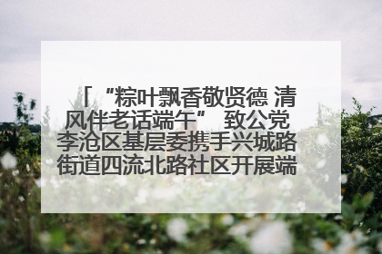 “粽叶飘香敬贤德 清风伴老话端午” 致公党李沧区基层委携手兴城路街道四流北路社区开展端午节主题活动