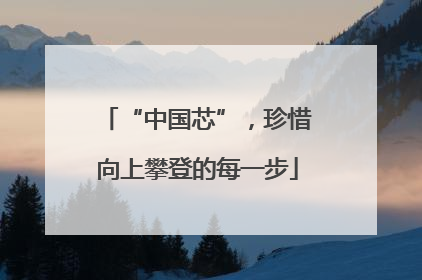 “中国芯”，珍惜向上攀登的每一步