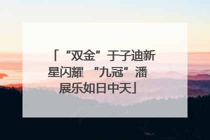 “双金”于子迪新星闪耀 “九冠”潘展乐如日中天