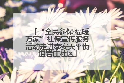 “全民参保·福暖万家”社保宣传服务活动走进泰安天平街道岩庄社区