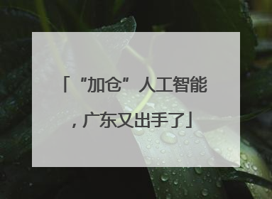“加仓”人工智能，广东又出手了