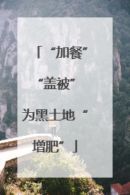 “加餐”“盖被” 为黑土地“增肥”