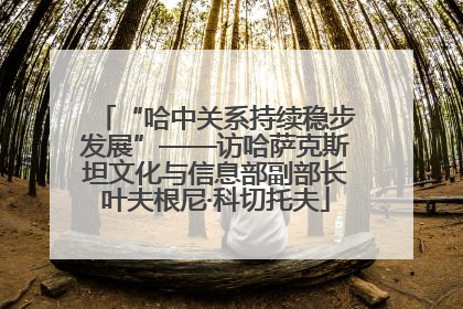 “哈中关系持续稳步发展”——访哈萨克斯坦文化与信息部副部长叶夫根尼·科切托夫