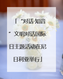 “对话·知音”文明对话国际日主题活动在尼日利亚举行