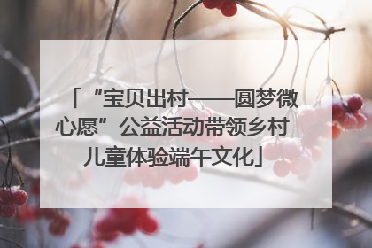 “宝贝出村——圆梦微心愿”公益活动带领乡村儿童体验端午文化