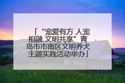 “宠爱有方 人宠相融 文明共享”青岛市市南区文明养犬主题实践活动举办