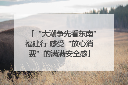 “大潮争先看东南”福建行 感受“放心消费”的满满安全感