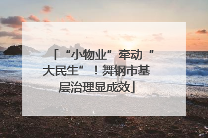 “小物业”牵动“大民生”！舞钢市基层治理显成效