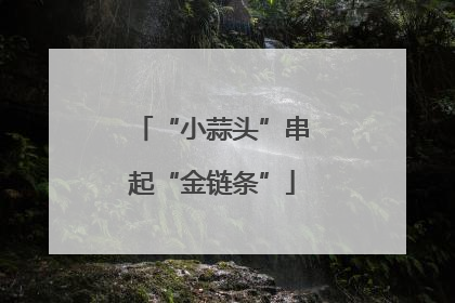 “小蒜头”串起“金链条”