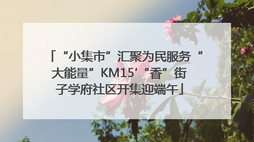 “小集市”汇聚为民服务“大能量”KM15′“香”街子学府社区开集迎端午