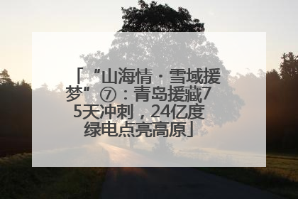 “山海情・雪域援梦”⑦：青岛援藏75天冲刺，24亿度绿电点亮高原