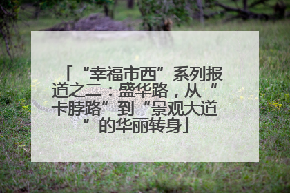 “幸福市西”系列报道之二：盛华路，从“卡脖路”到“景观大道”的华丽转身