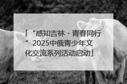 “感知吉林・青春同行”2025中俄青少年文化交流系列活动启动