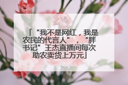 “我不是网红，我是农民的代言人”，“胖书记”王杰直播间每次助农卖货上万元