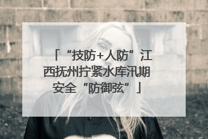 “技防+人防”江西抚州拧紧水库汛期安全“防御弦”