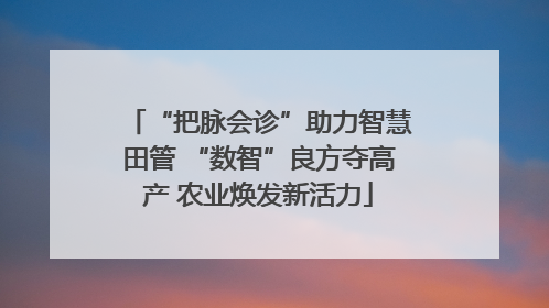 “把脉会诊”助力智慧田管 “数智”良方夺高产 农业焕发新活力