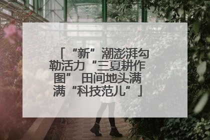 “新”潮澎湃勾勒活力“三夏耕作图” 田间地头满满“科技范儿”