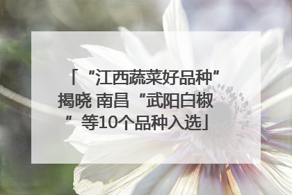 “江西蔬菜好品种”揭晓 南昌“武阳白椒”等10个品种入选