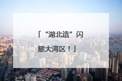 “湖北造”闪耀大湾区！