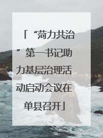 “菏力共治”第一书记助力基层治理活动启动会议在单县召开