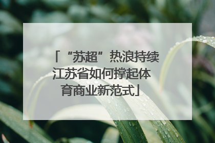 “苏超”热浪持续 江苏省如何撑起体育商业新范式