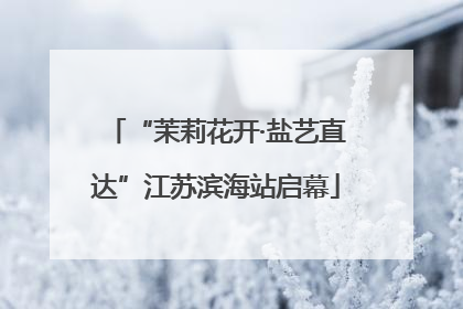 “茉莉花开·盐艺直达”江苏滨海站启幕