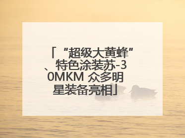 “超级大黄蜂”、特色涂装苏-30MKM 众多明星装备亮相