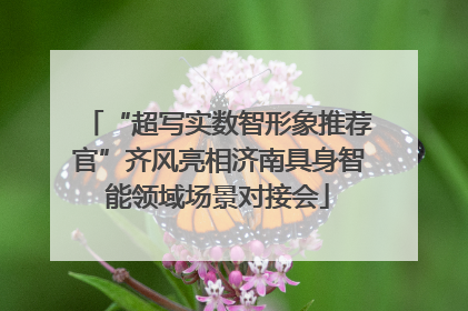 “超写实数智形象推荐官”齐风亮相济南具身智能领域场景对接会