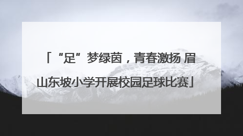 “足”梦绿茵，青春激扬 眉山东坡小学开展校园足球比赛
