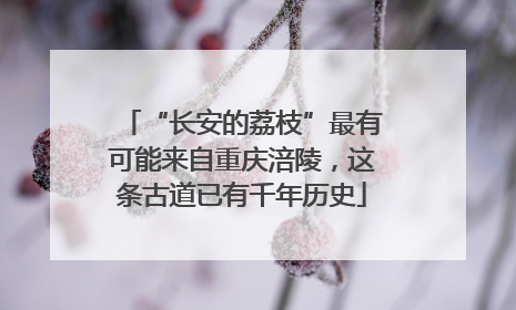 “长安的荔枝”最有可能来自重庆涪陵，这条古道已有千年历史
