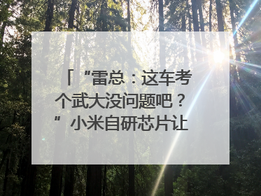 “雷总：这车考个武大没问题吧？”小米自研芯片让YU7会学习｜汽车科技