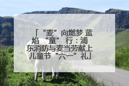 “麦”向燃梦 蓝焰 “童” 行：浦东消防与麦当劳献上儿童节“六一”礼