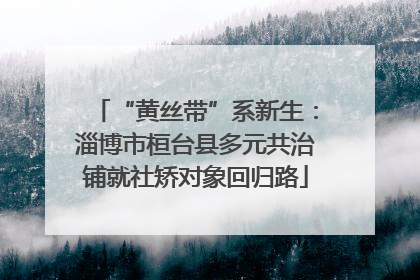“黄丝带”系新生：淄博市桓台县多元共治铺就社矫对象回归路