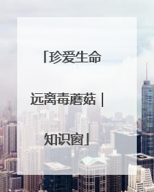 珍爱生命 远离毒蘑菇｜知识窗