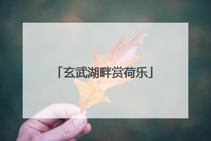 玄武湖畔赏荷乐