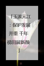 玉溪元江：保护发展并重 千年梯田展新颜