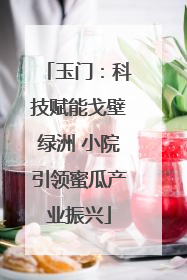 玉门：科技赋能戈壁绿洲 小院引领蜜瓜产业振兴
