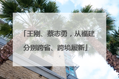 王刚、蔡志勇，从福建分别跨省、跨境履新