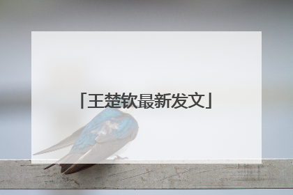王楚钦最新发文