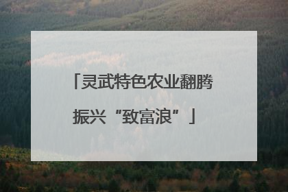 灵武特色农业翻腾振兴“致富浪”