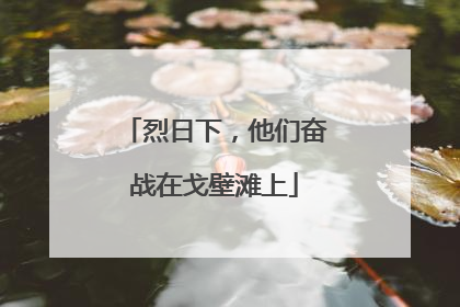 烈日下，他们奋战在戈壁滩上